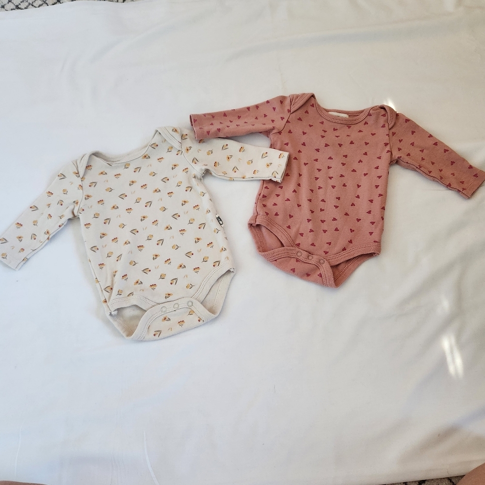 Rabbit+ Bear Organic Cotton Long Sleeve Oneseis Set Of Two Floral & Hearts 0-3 M